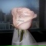Lovesomemama