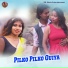 Santosh Lundri