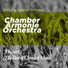 Chamber Armonie Orchestra