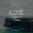 Echoes of Nature, Ambient Rain, Sleepy Times