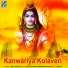 Amit Upadhyay