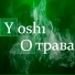 yosh1