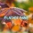 Fladier Bane