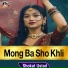 Shokat Ustad