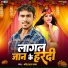 Dharmendra Lal Yadav