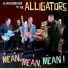 Alain CHENNEVIERE & the ALLIGATORS