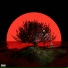 SadBoyProlific feat. Monty Datta, Mishaal