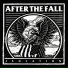after the fall