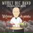 Muret Big Band