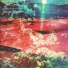 Still Corners
