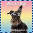 Relax My Dog, Dog Music Dreams