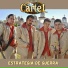 Grupo Cartel