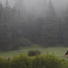 Spa, Relaxing Music, Study Music Library