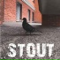 Stout