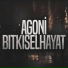 Noris