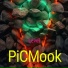 Picmook