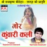 Narmada Goswami
