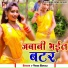 Vikas Bawali