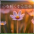 心解放マインドフルネス