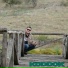 koddok