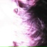 fotograph