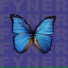 FYNER