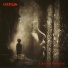 Vizzion