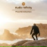 Audio Infinity