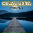 Celal Usta