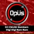 DJ Opus