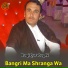 Baqi Qarabaghi