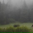 Spa, Relaxing Music, Study Music Library