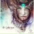 Calibrate