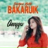 Anyqu
