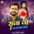 Shashi Anari
