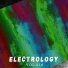 Resistor