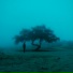 Alone In The Universe