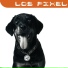 Los Pixel