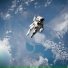 germanfoxes