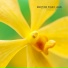 Paper Ton