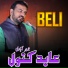 Abid Kanwal