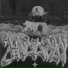 MARQY