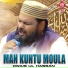Owais Ul Hassan