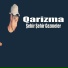 Qarizma