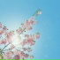 Cauzy, Hikari, hiraeth vibe