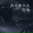 安子虚