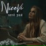 NiceVi