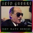Seid Gabari