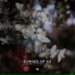 Logic23, Tremolo, crillie