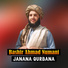 Bashir Ahmad Numani